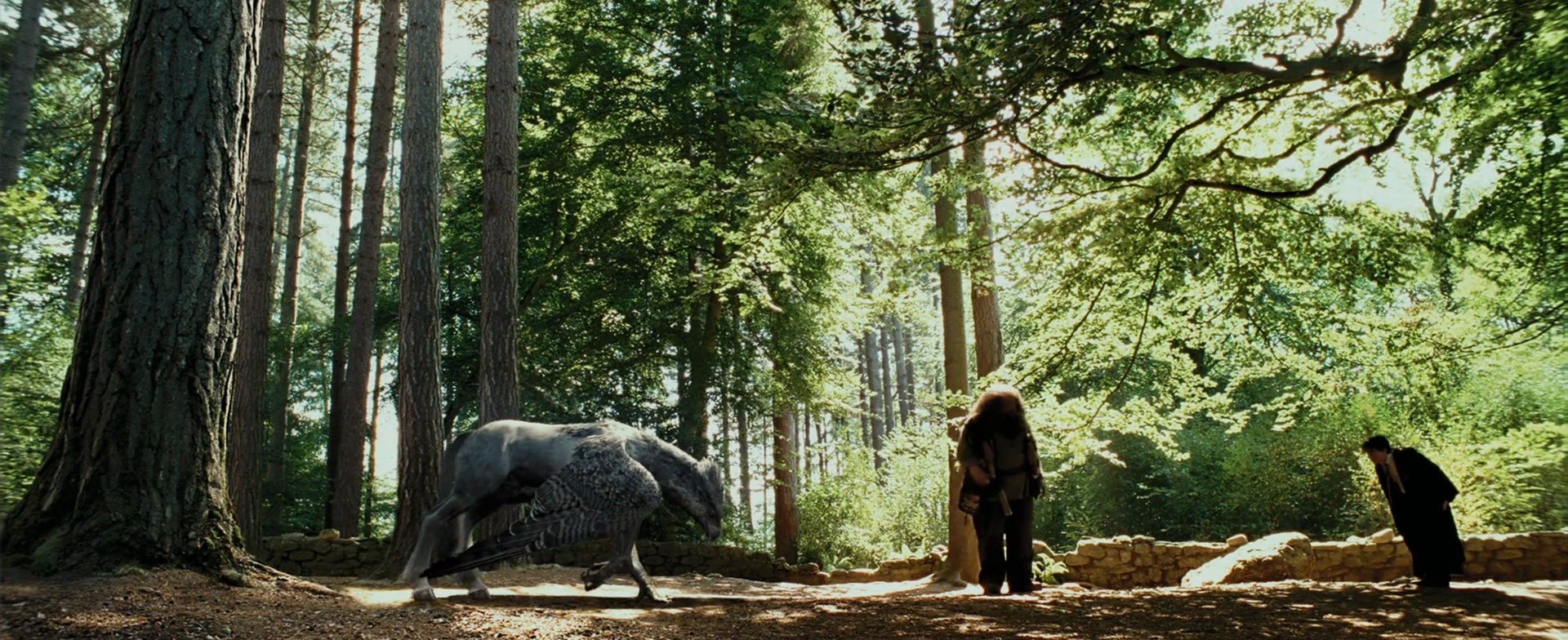 Shot 487