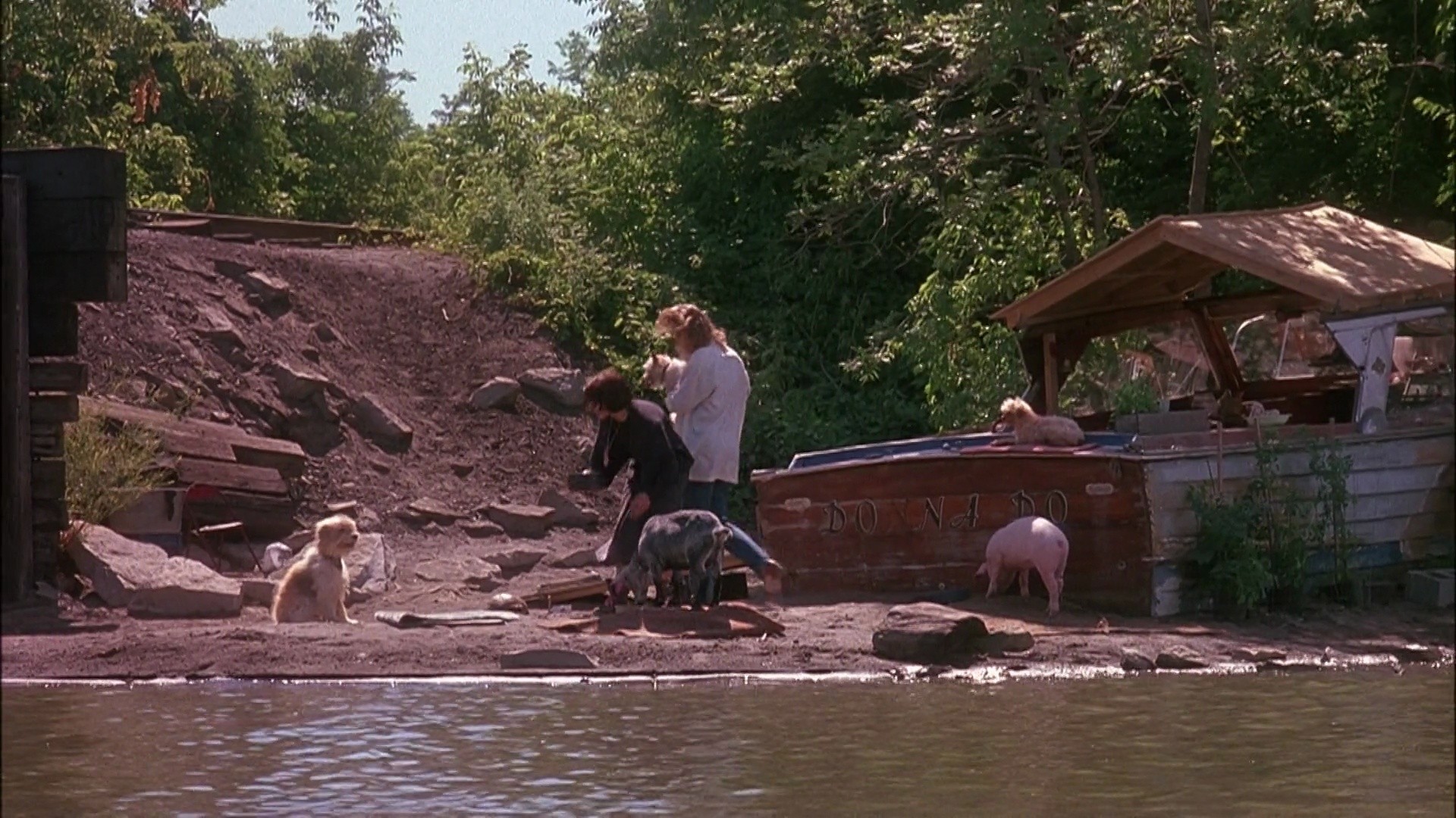 Shot 656
