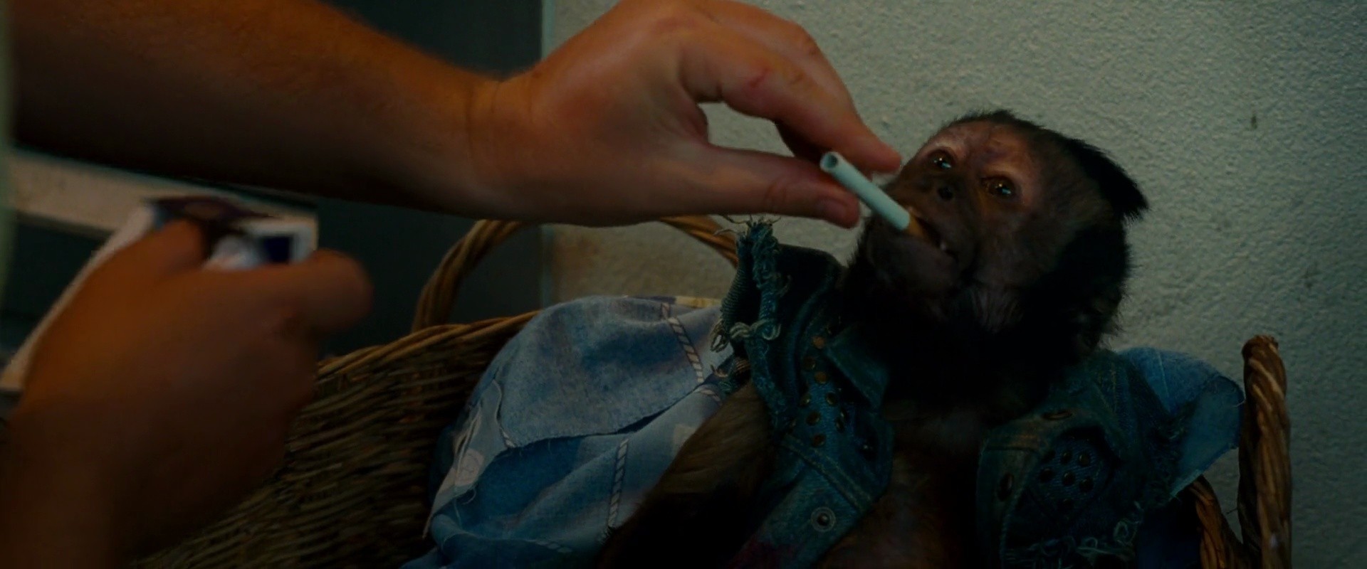 Shot 1392