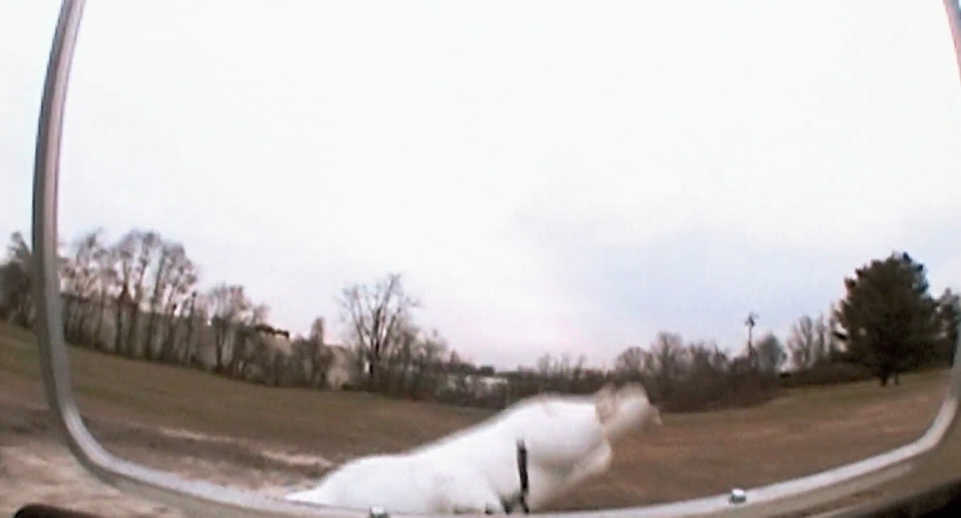 Shot 267