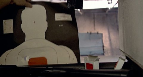 Shot 599