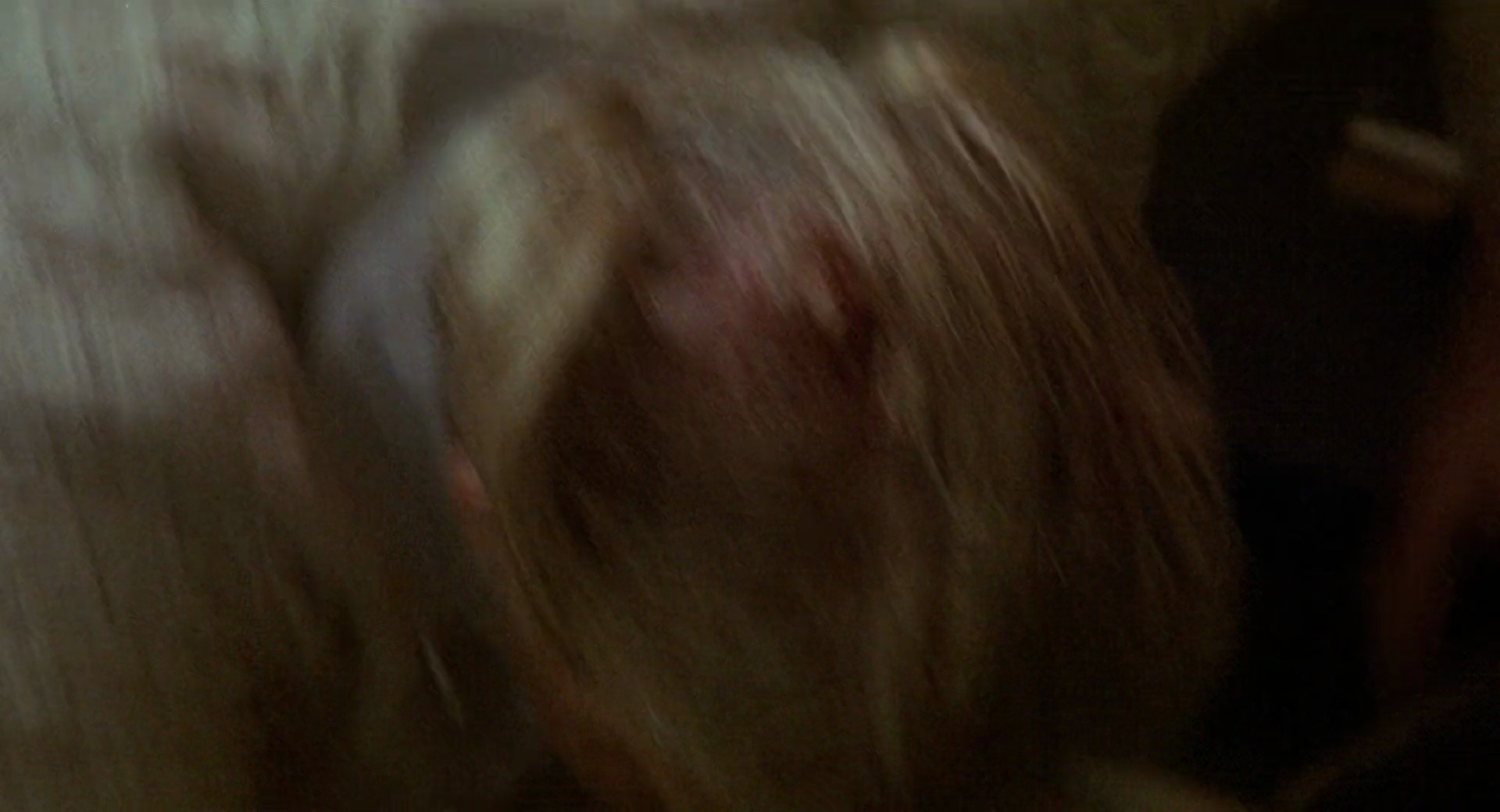 Shot 442