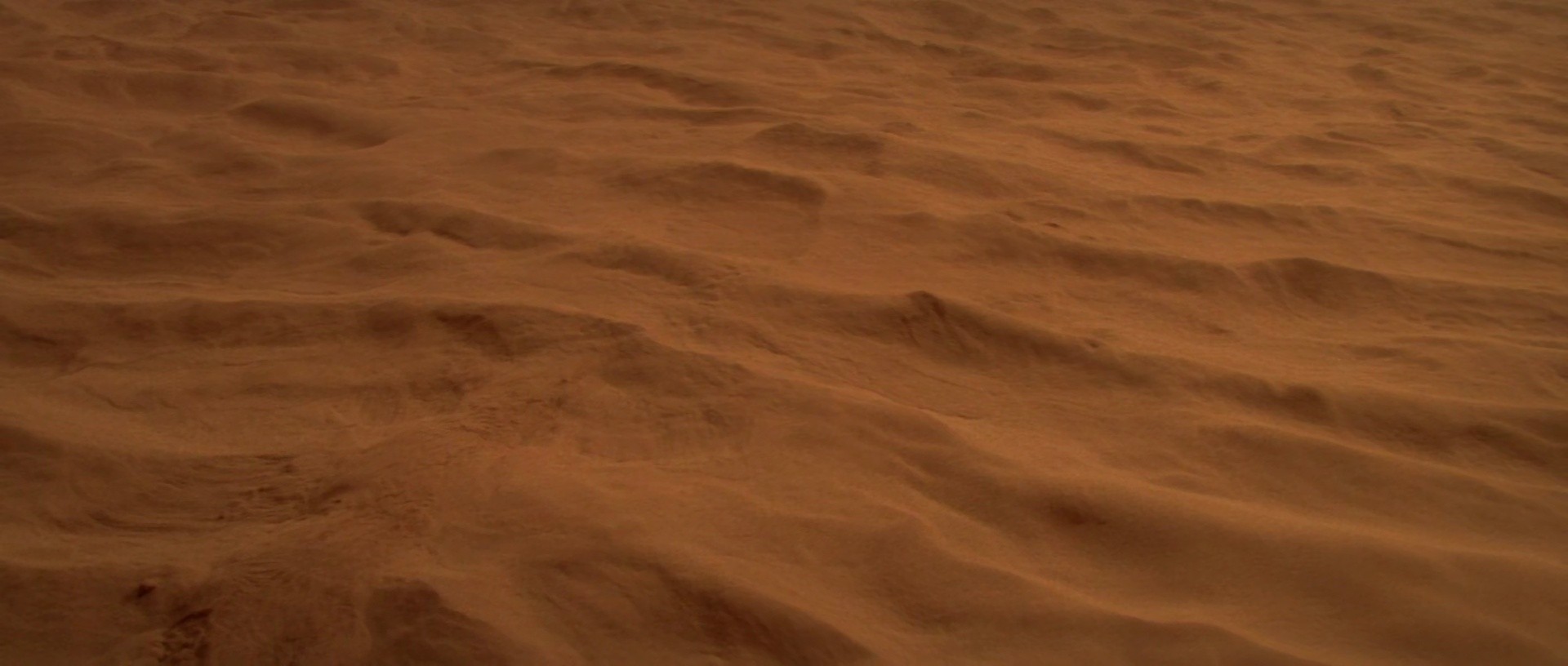 Shot 474
