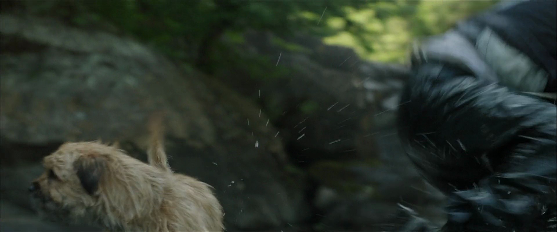 Shot 1008