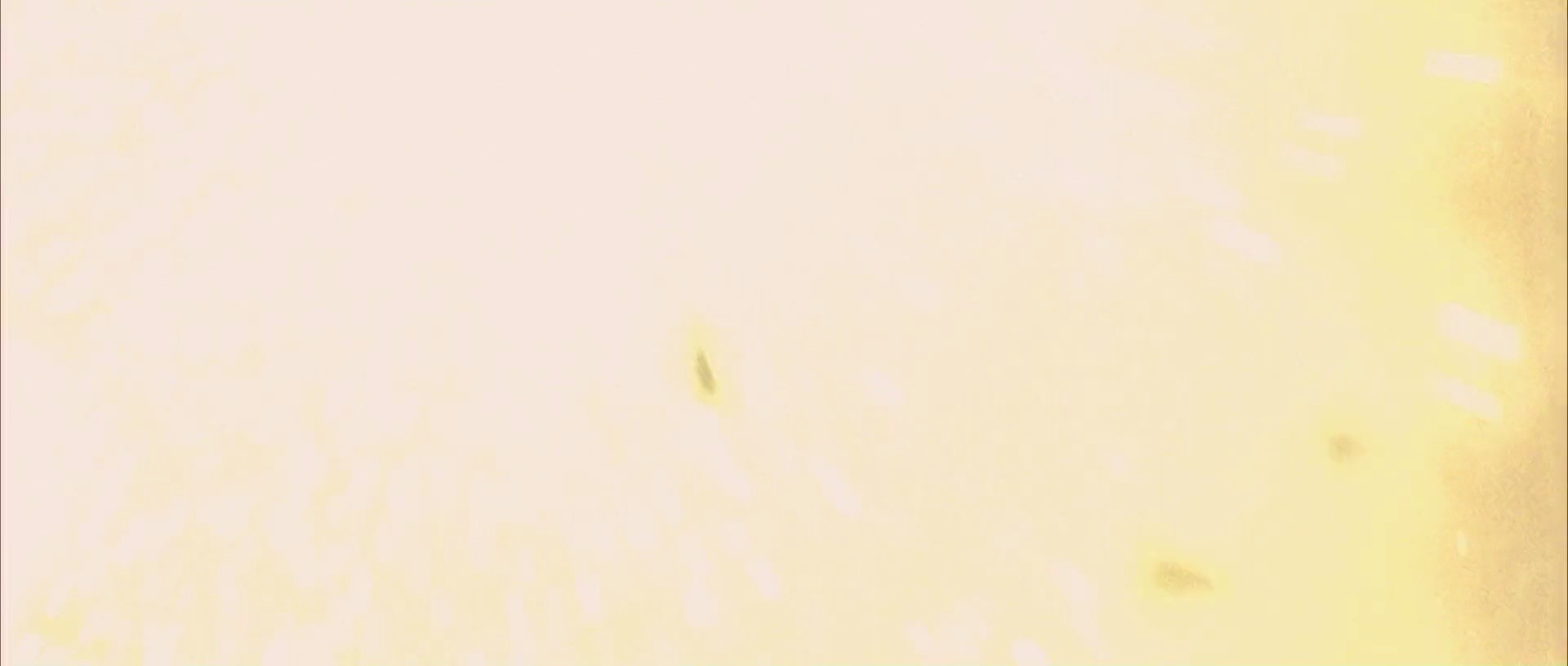 Shot 1174