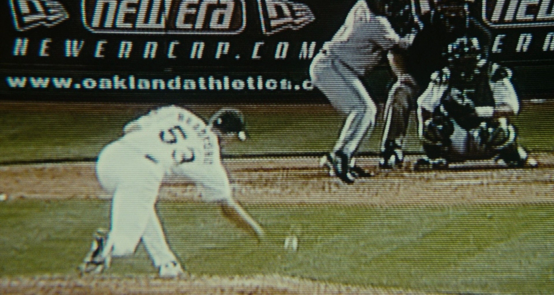 Shot 388