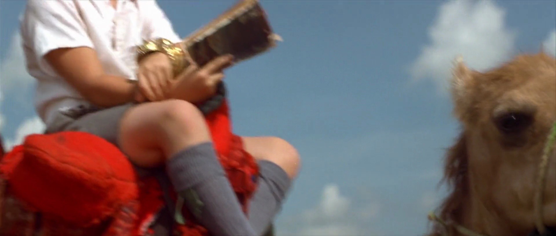 Shot 1580