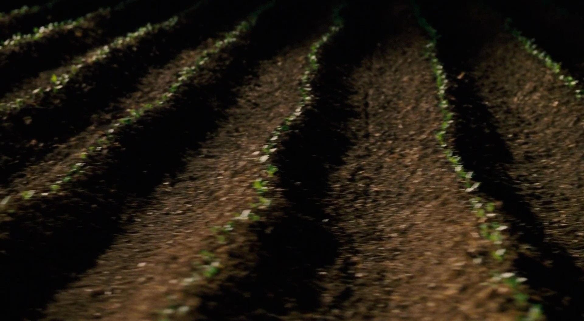 Shot 1417