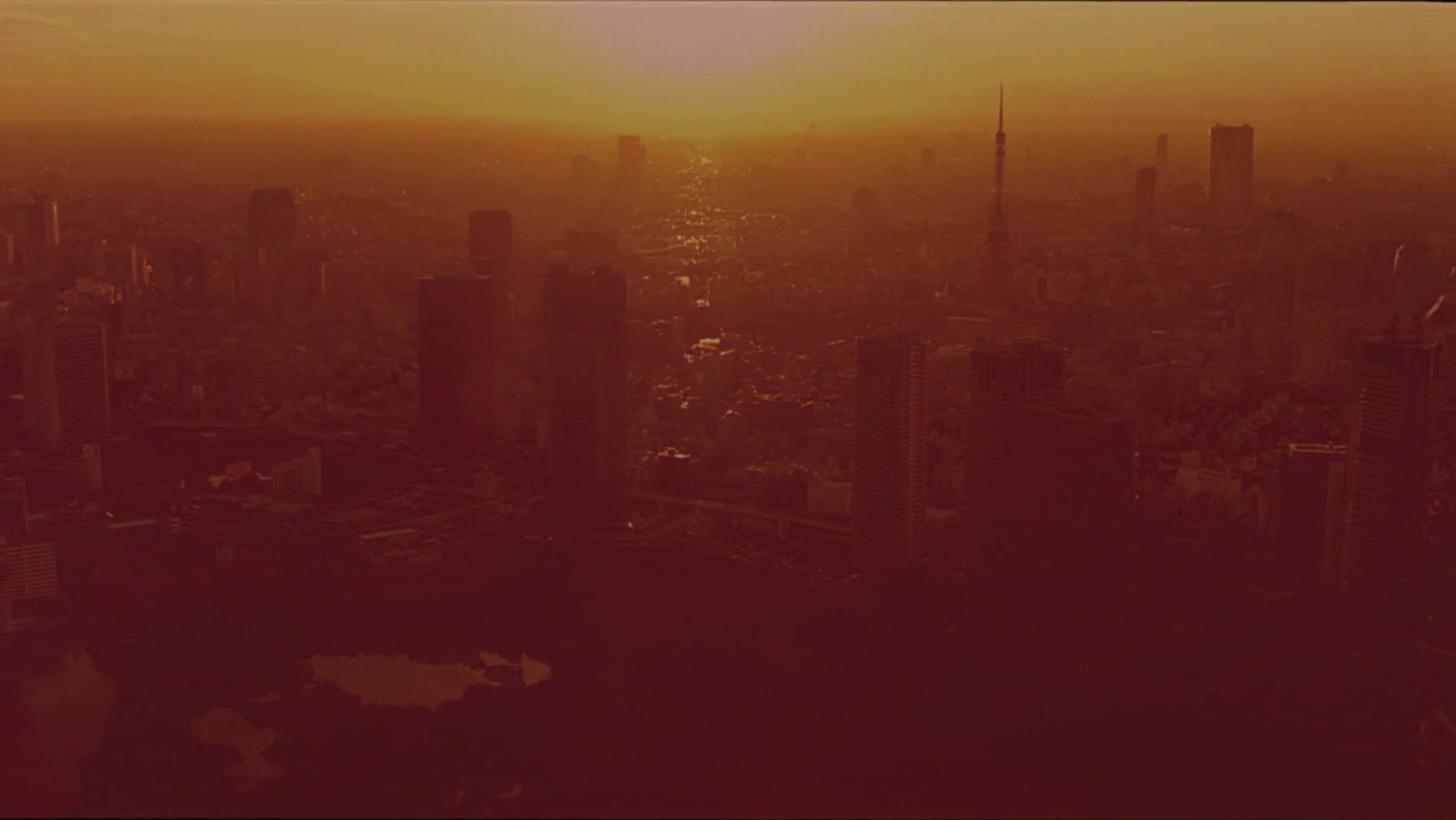 Shot 6