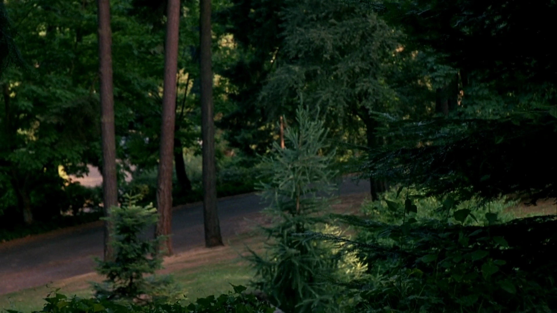 Shot 1168