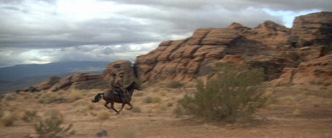 Shot 496