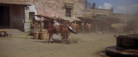 Shot 1006