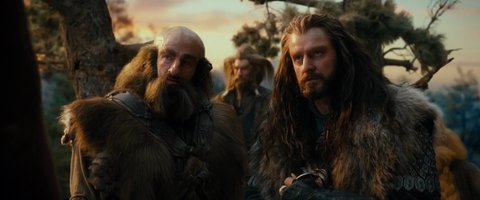 Shot 2421