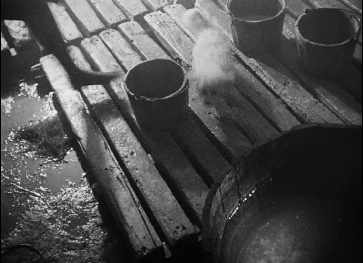 Shot 1100