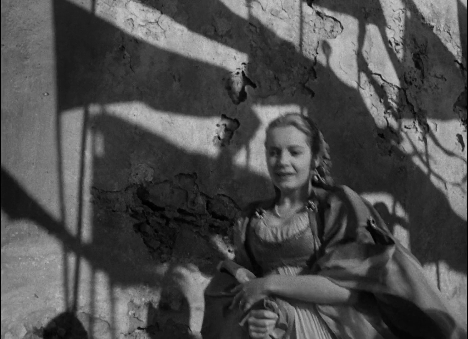 Shot 247