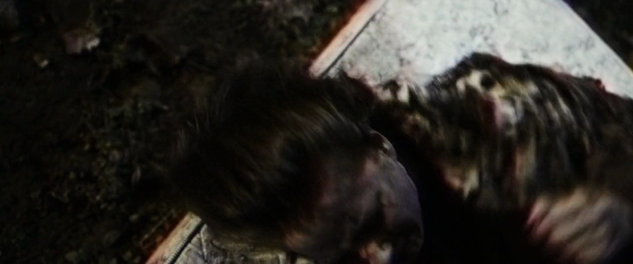 Shot 1370