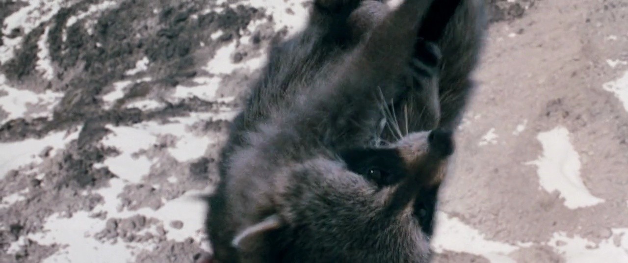 Shot 57