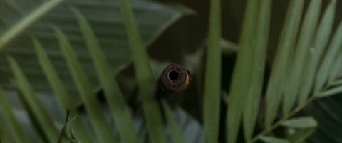 Shot 686