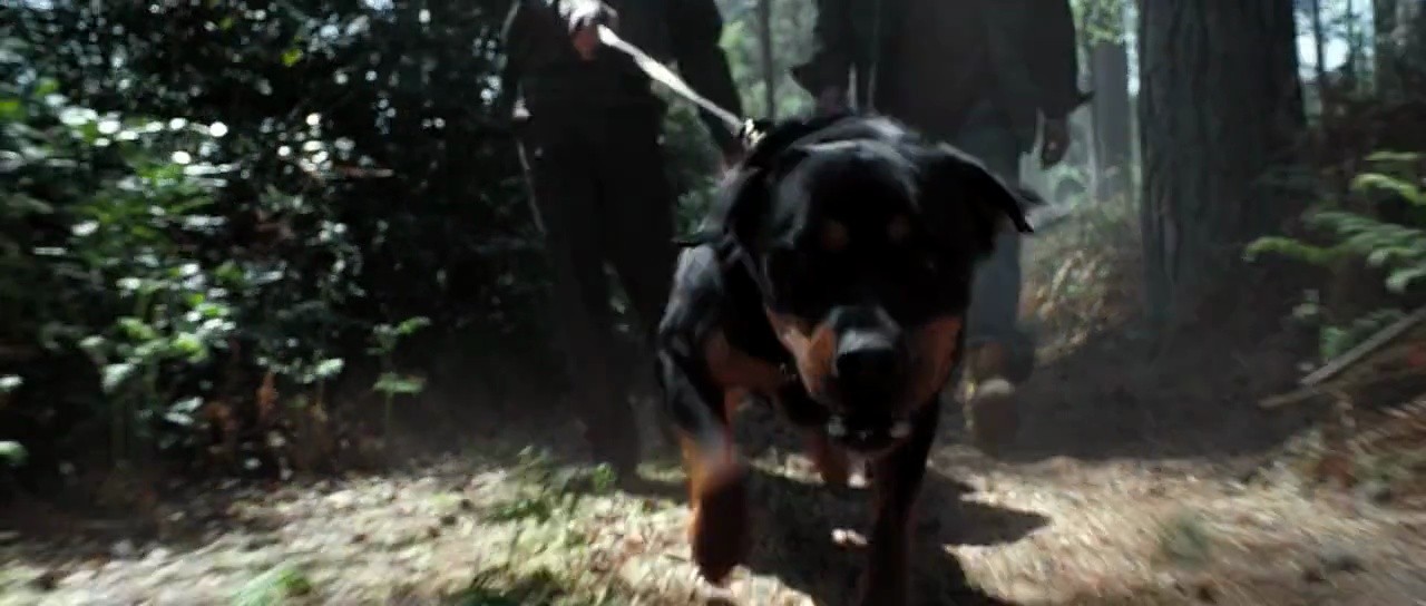 Shot 87