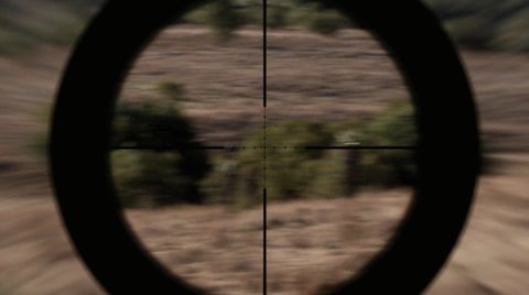 Shot 1651