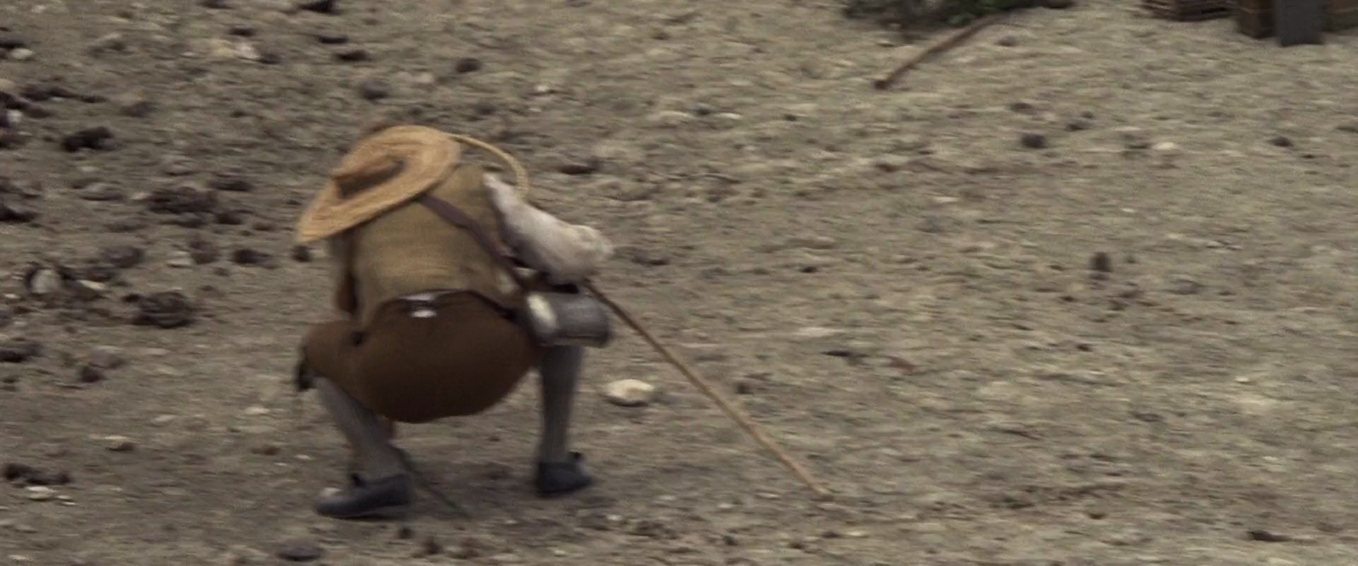 Shot 1259