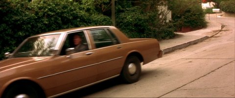 Shot 244