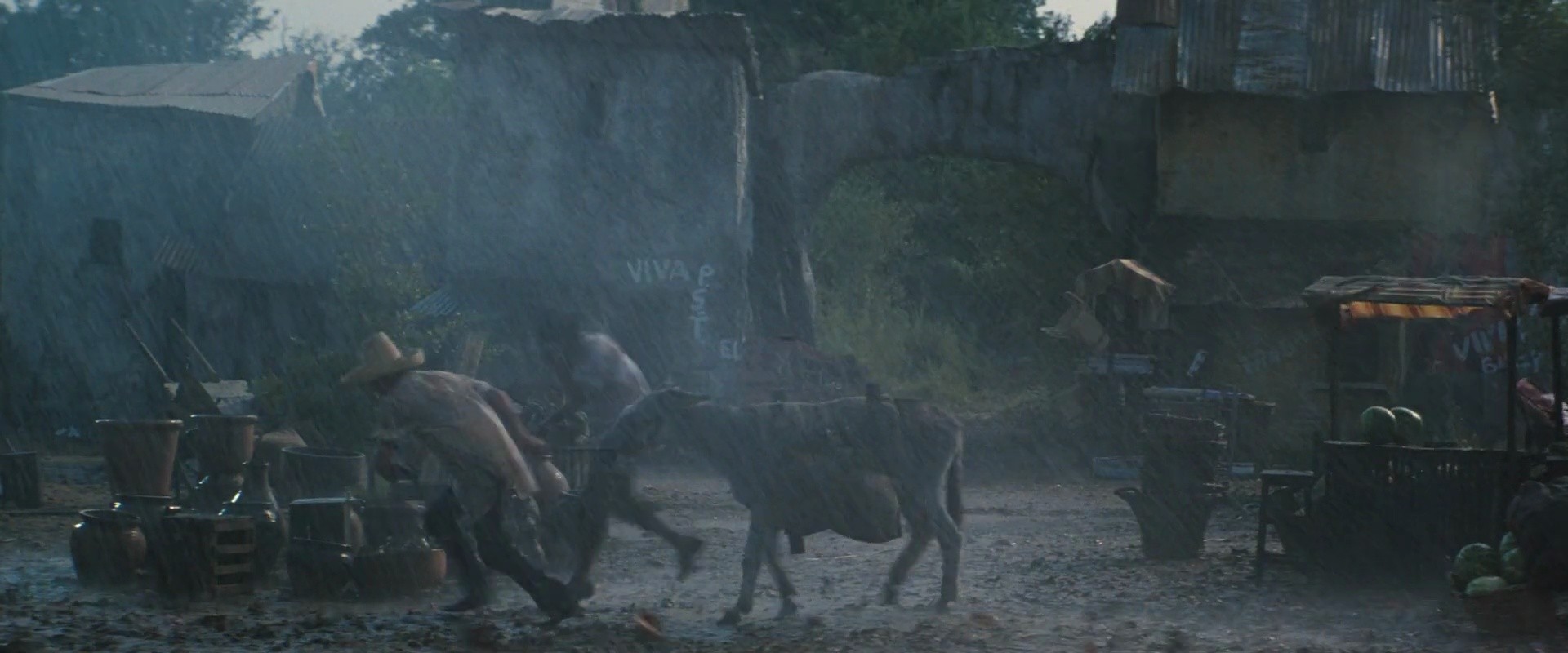 Shot 741