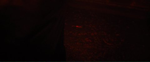 Shot 667