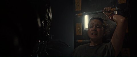 Shot 1975