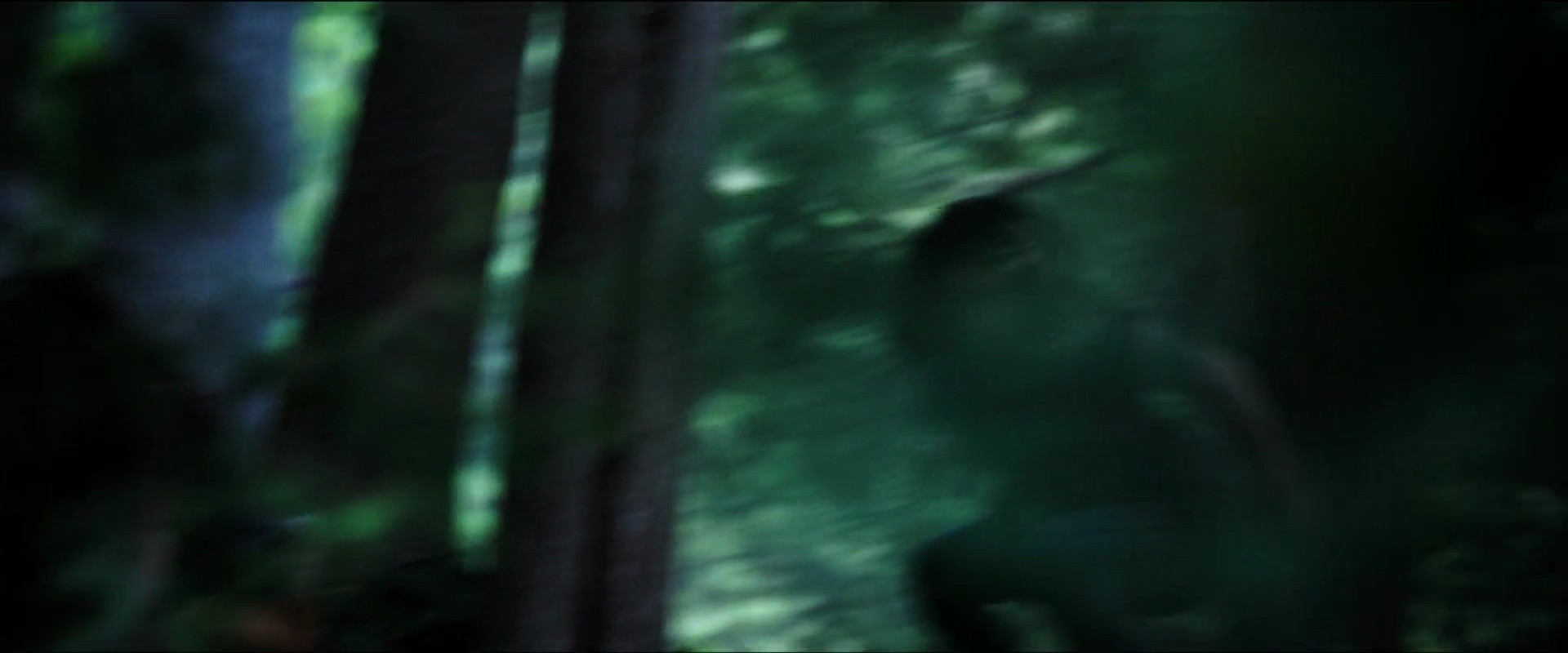 Shot 371