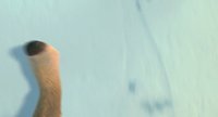 Shot 4