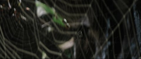 Shot 861