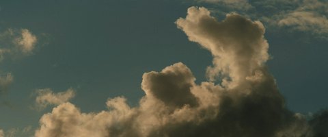 Shot 866