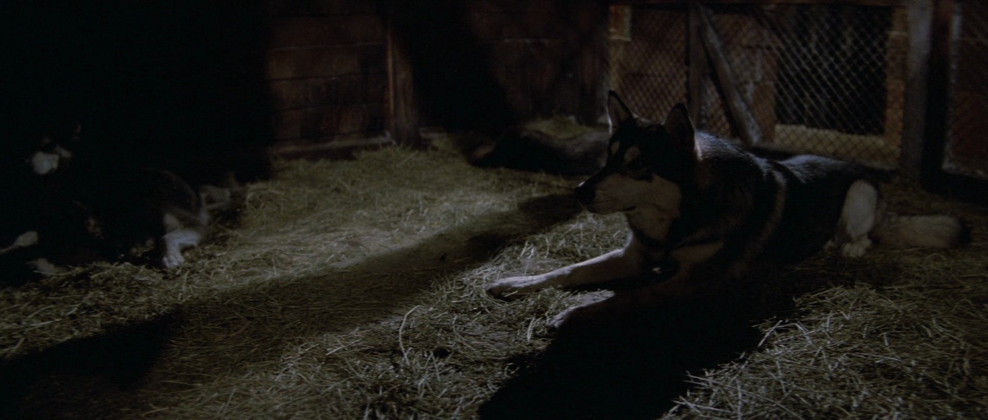 Shot 215