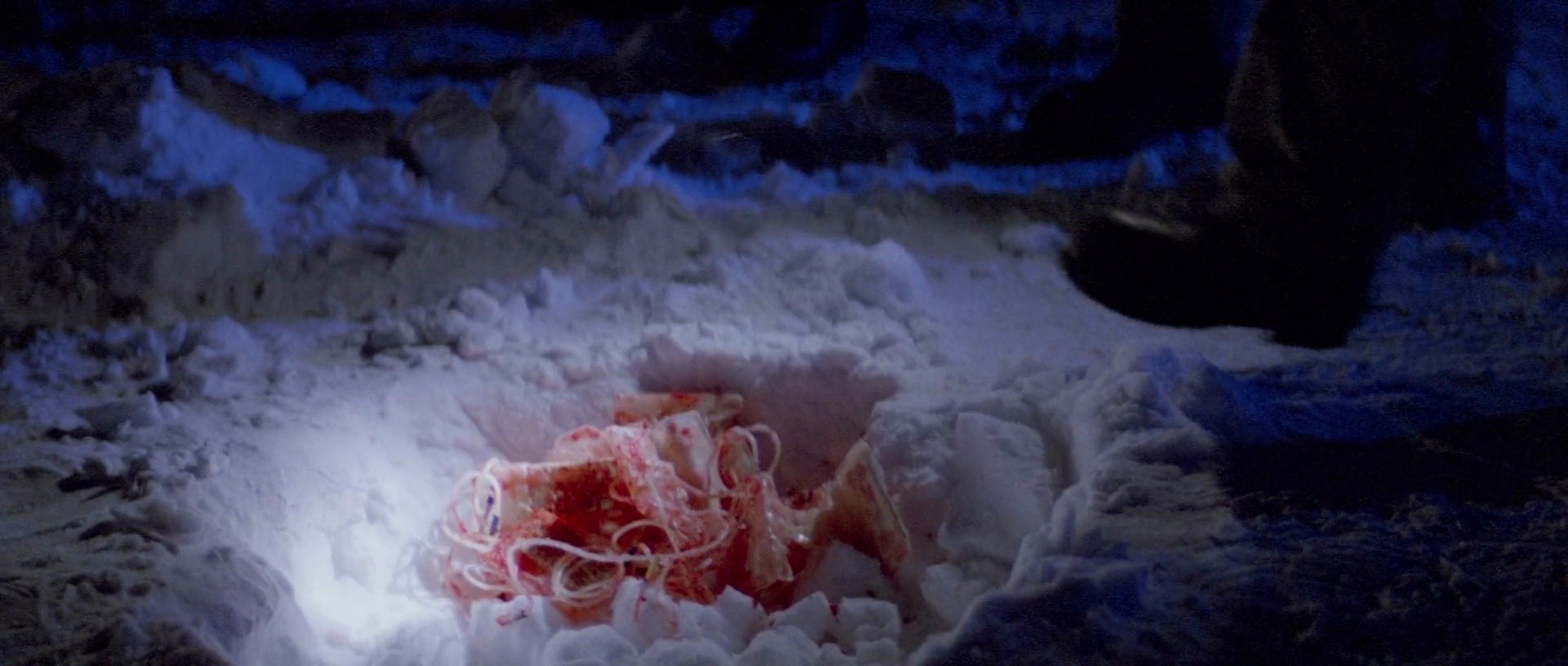 Shot 556
