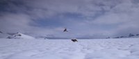 Shot 17