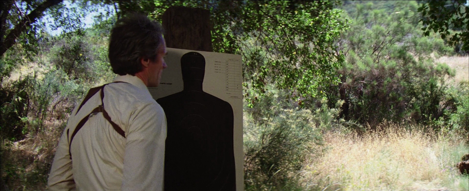Shot 398