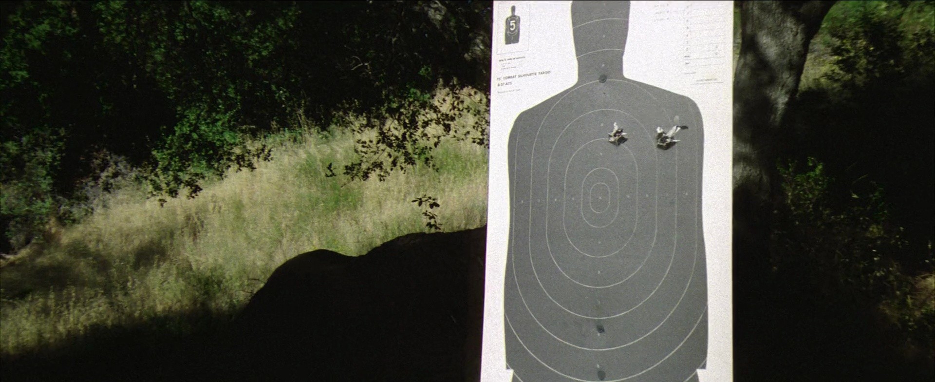 Shot 439