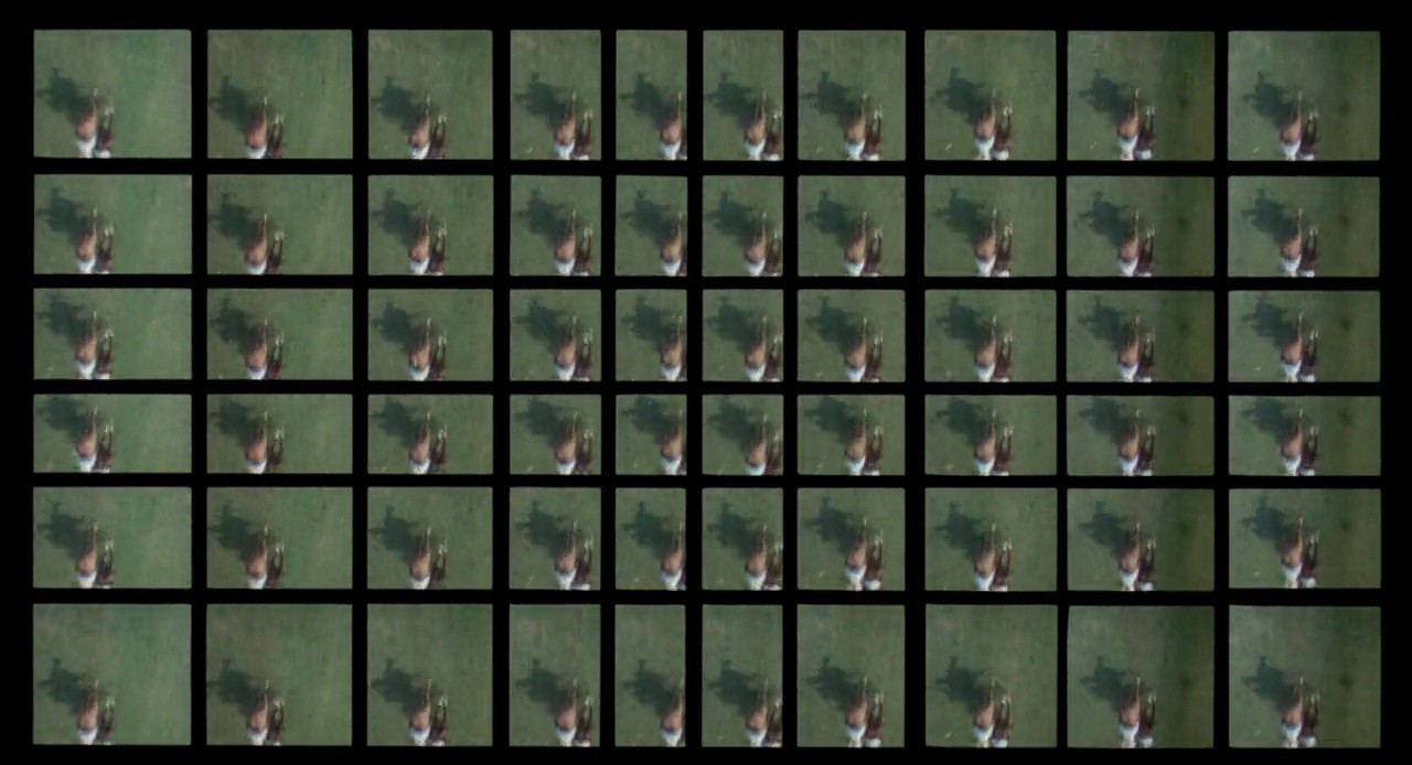 Shot 494