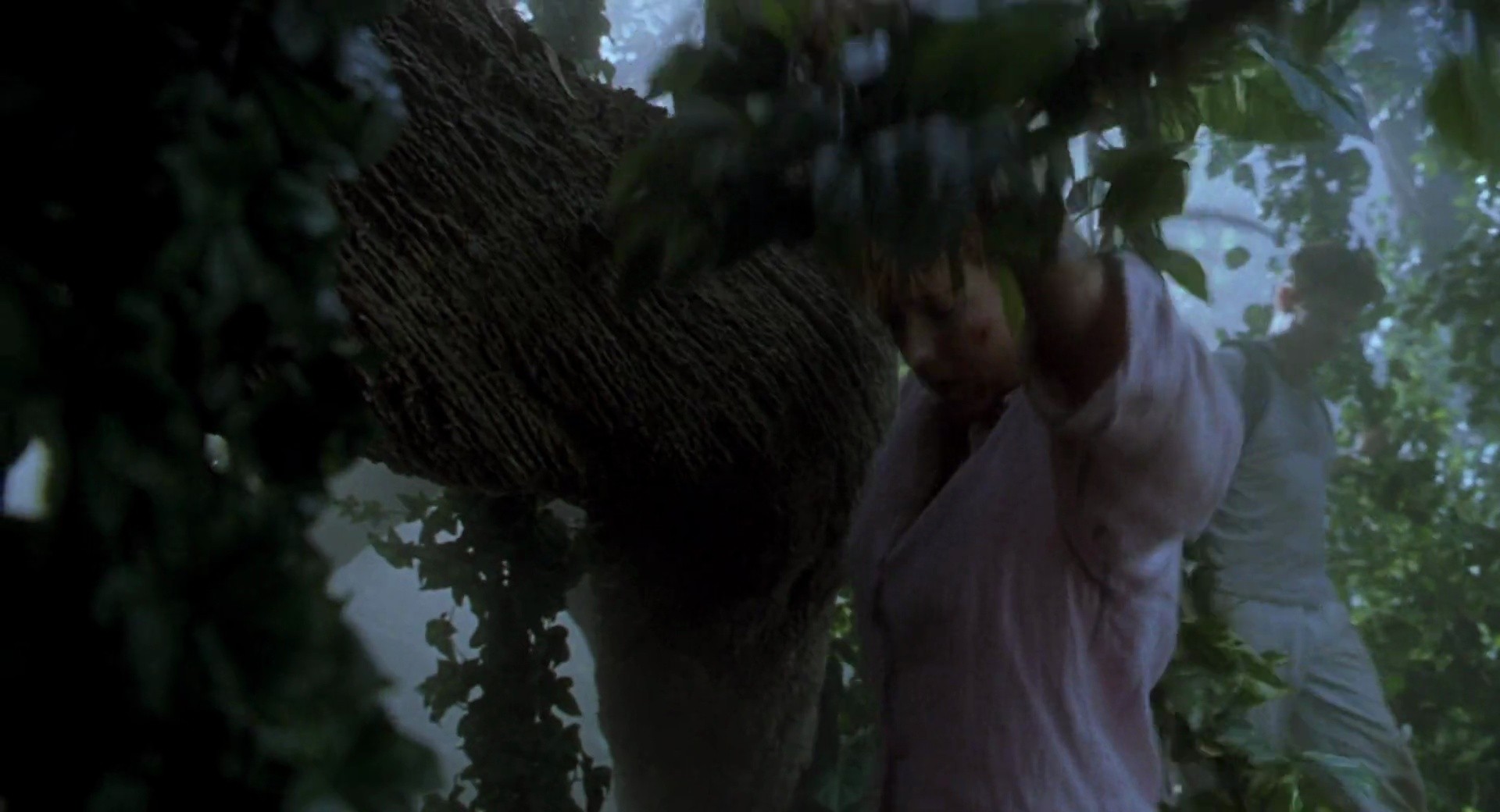 Shot 729