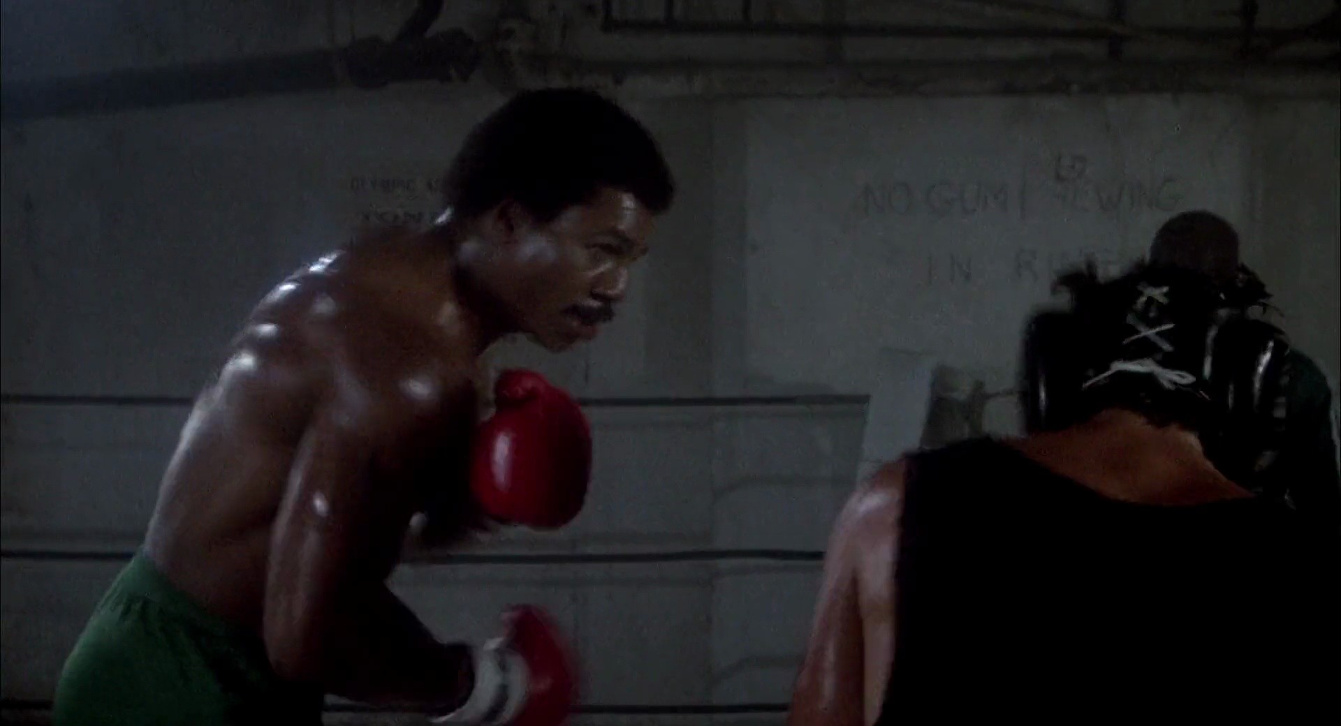 Shot 1233