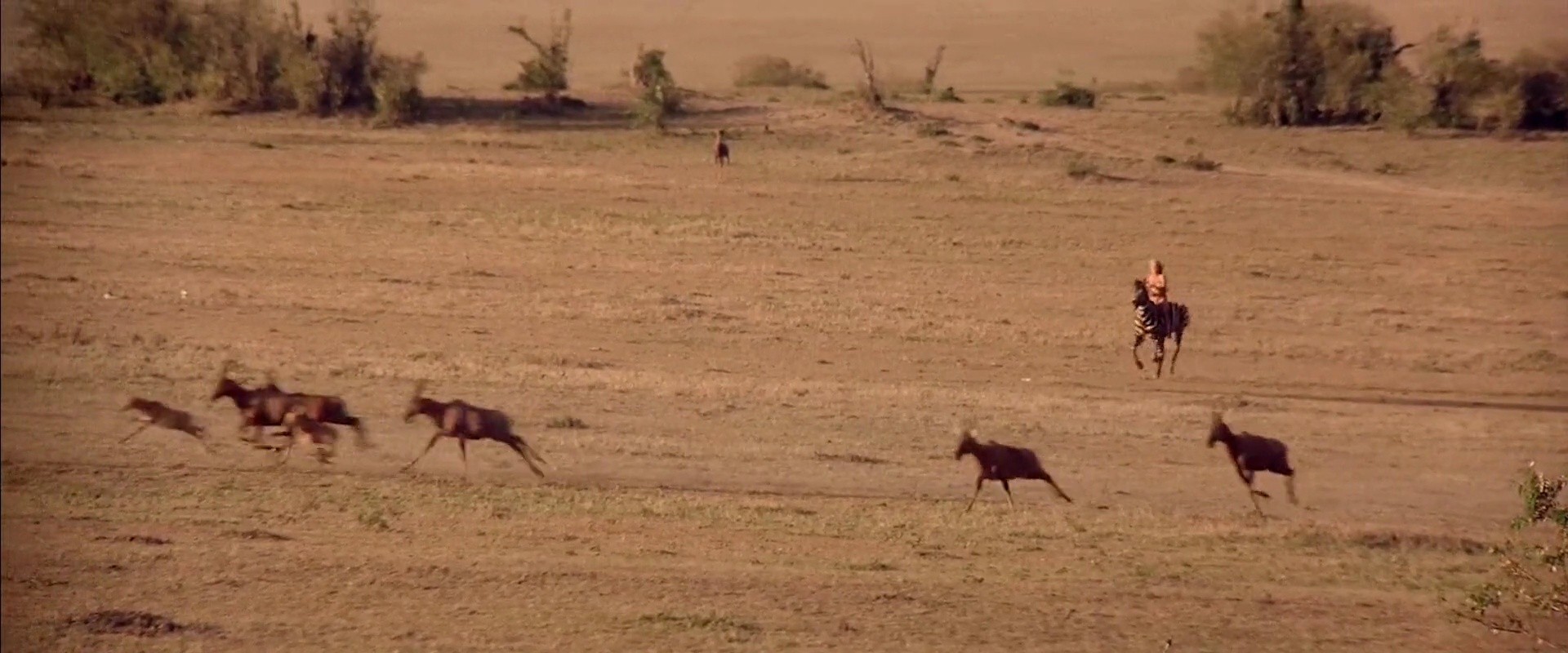 Shot 159