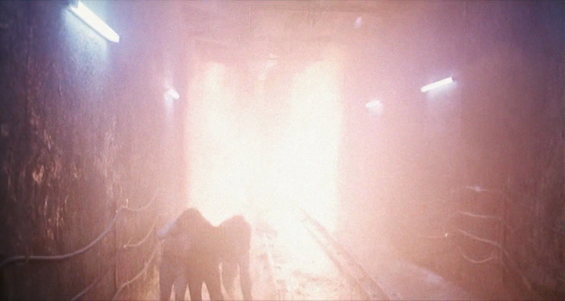 Shot 1974