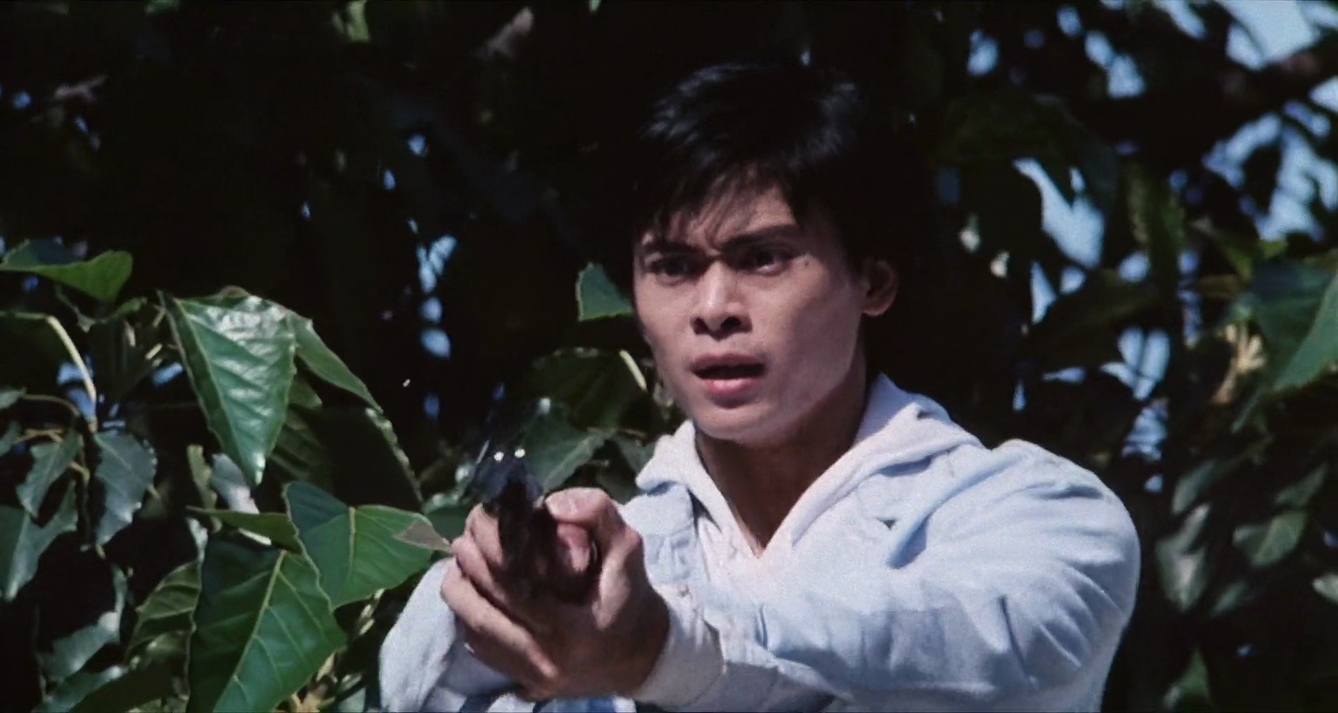 Shot 356