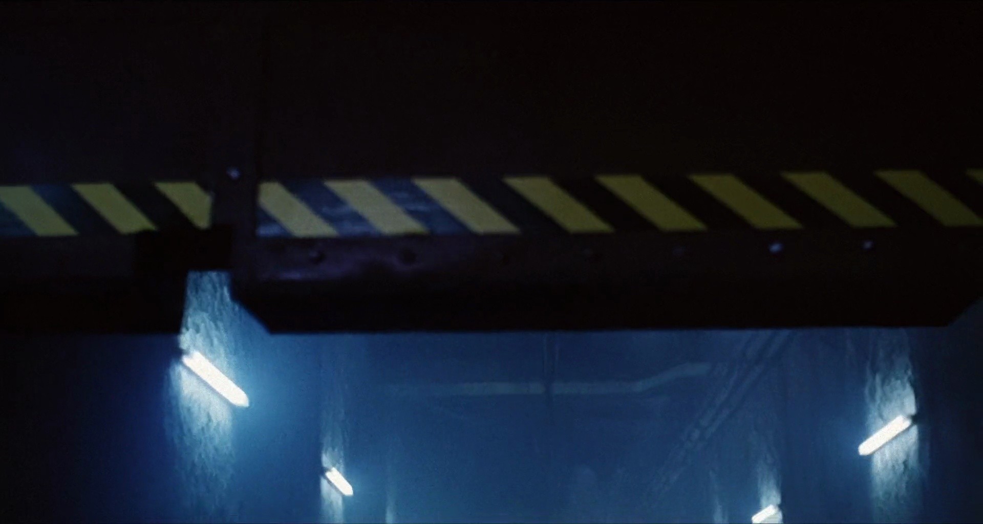 Shot 1981