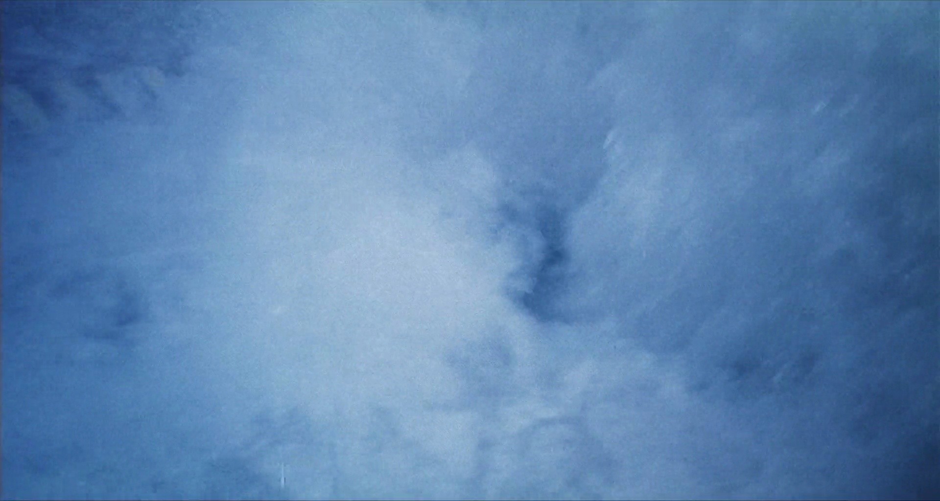 Shot 2004