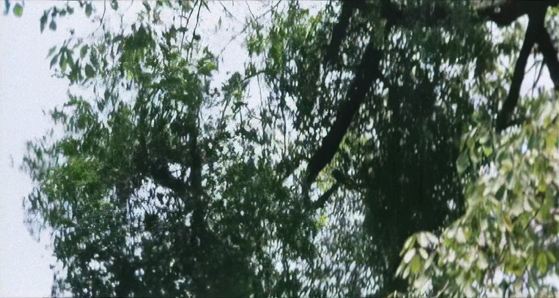 Shot 136