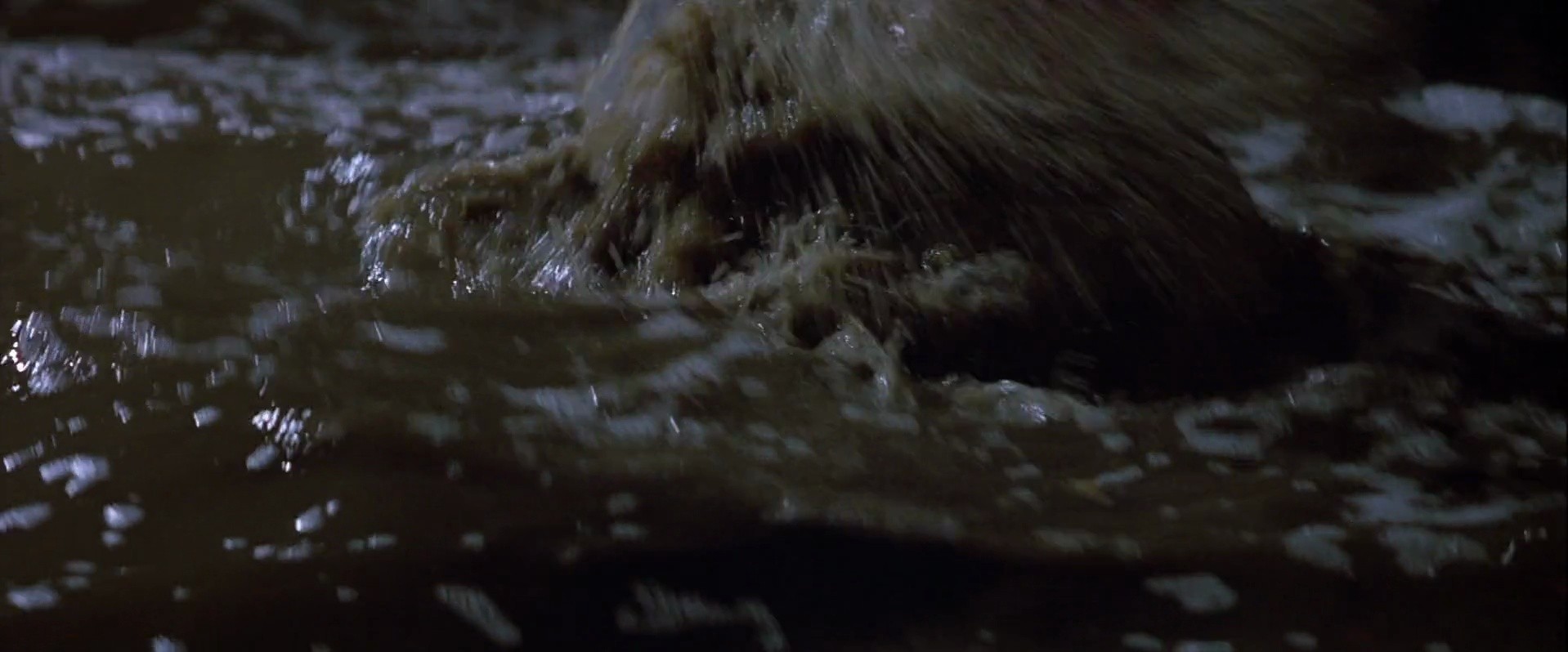 Shot 510