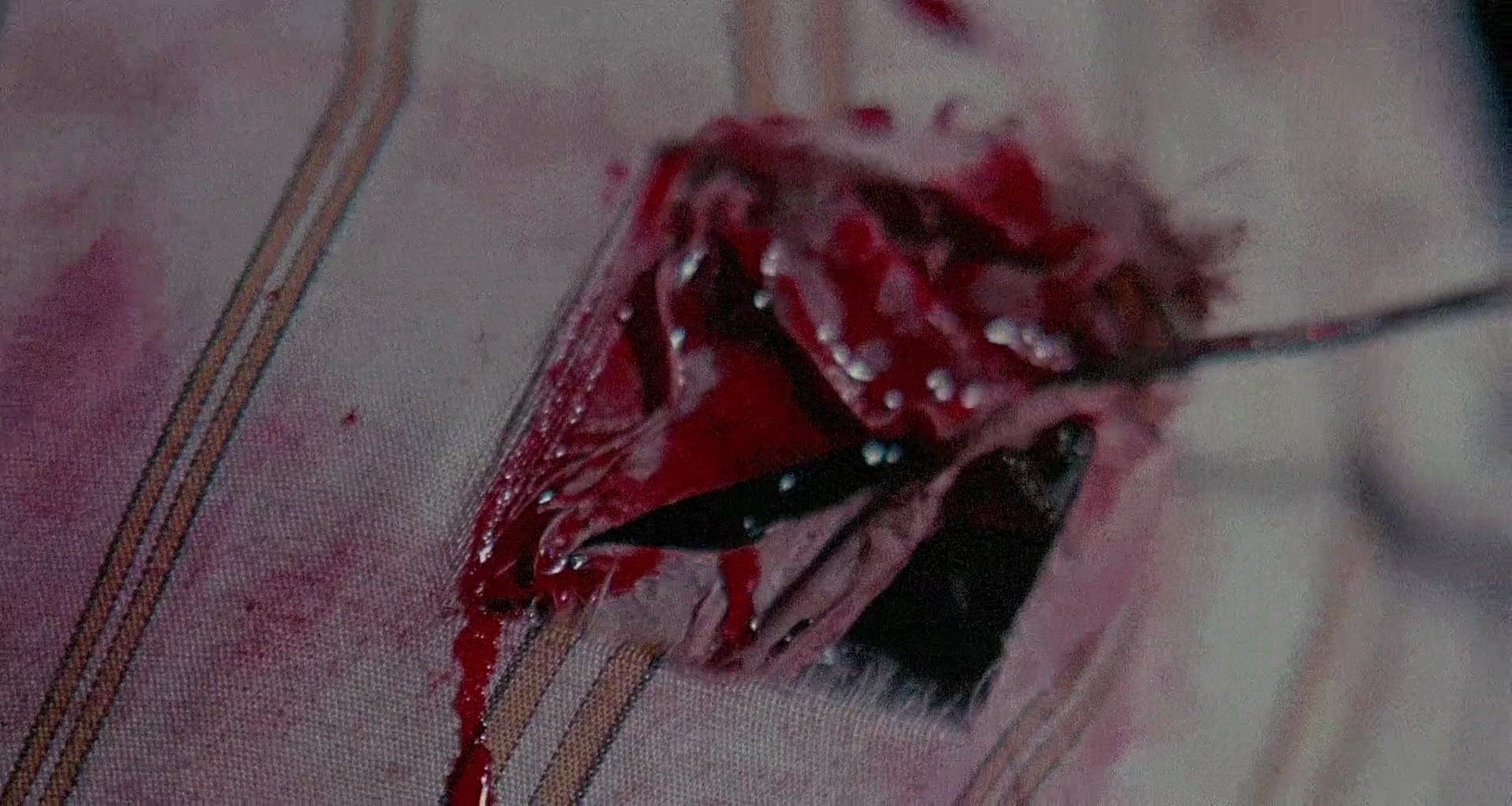 Shot 345