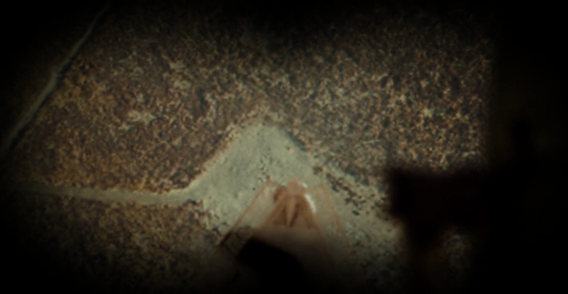 Shot 838